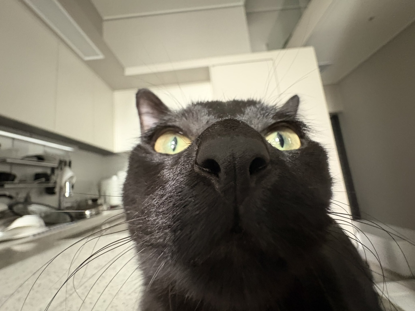 Second test post